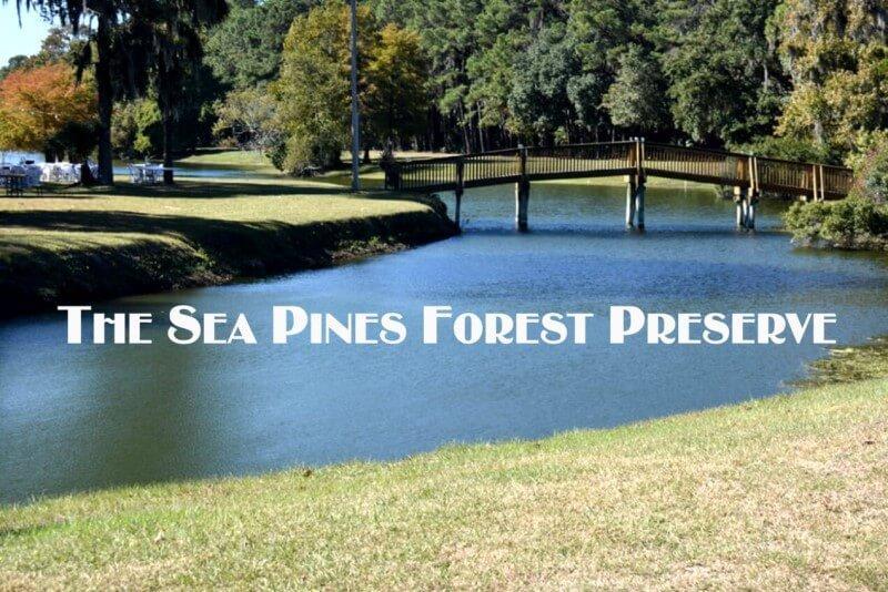 Sea Pine Forest Preserve